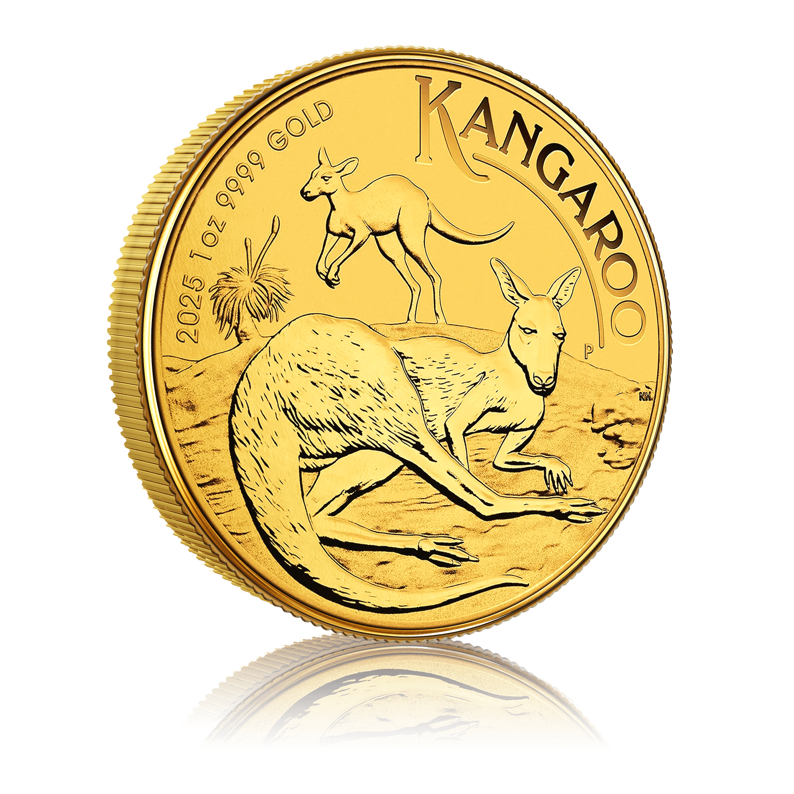 1oz Gold Perth Mint Australian Kangaroo (2025) 4